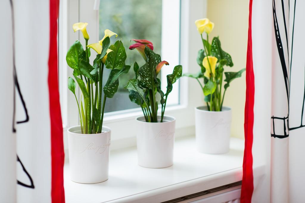 Style4Rent Sunny Old Town Apartments Krakow Ruang foto